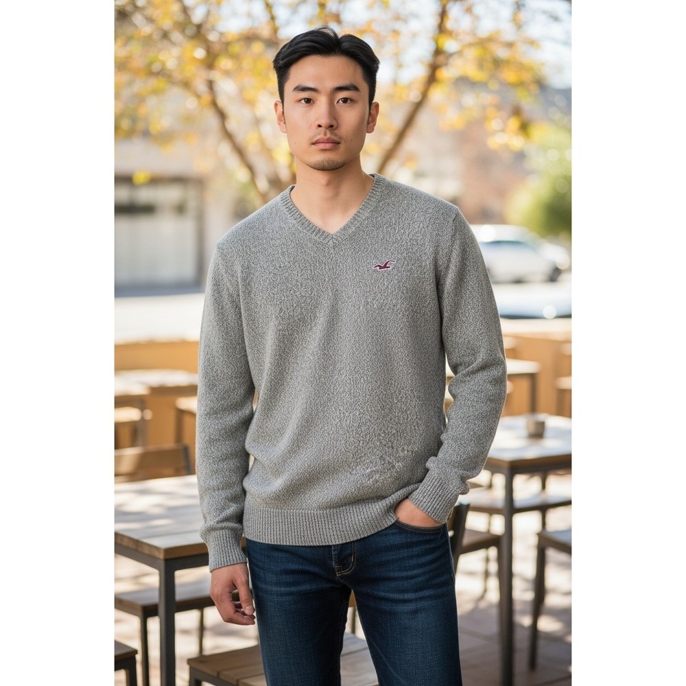 Hollister Mens Gray V Neck‎ Sweater Pullover Long Sleeve Knit Bird Logo Size M